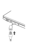 Anschluss des LAN-Adapters