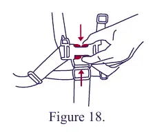5-Punkt-Gurt System