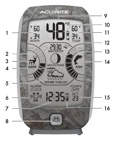 Display-Layout