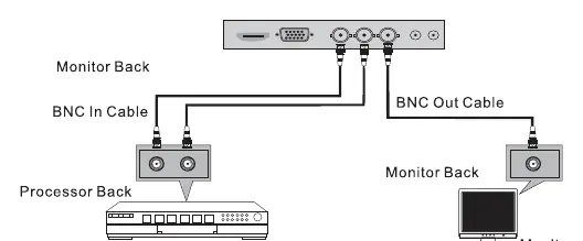 BNC-Verbindungsschema