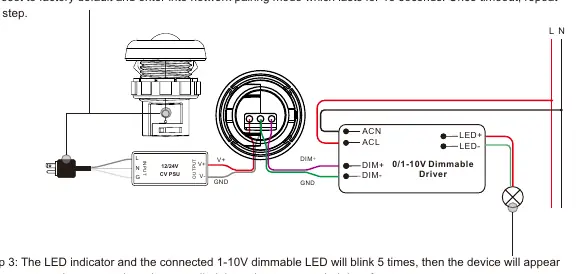 Verdrahtungsplan für den Anschluss an 12/24V Netzteil und 0-10V LED-Treiber.