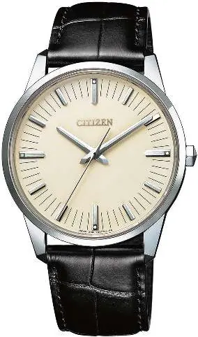 Citizen 010X Komponentenübersicht