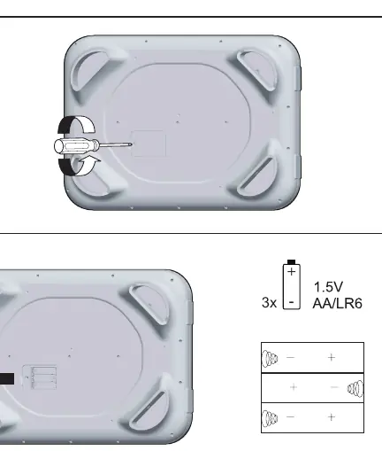 Einlegen der Batterien