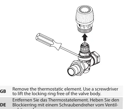 Entfernen des Thermostatelements