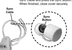 Position der Sync-Taste am Sync-Kabel