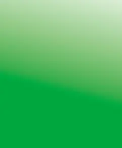 Schritt 7 und 8: Fertigstellung des Rahmens und Bezug