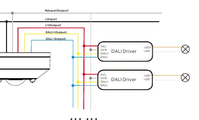 Schaltplan für den Anschluss des Sensors an DALI-Treiber