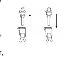 Austausch der Lampe