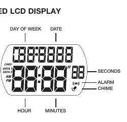 Segmentiertes LCD-Display