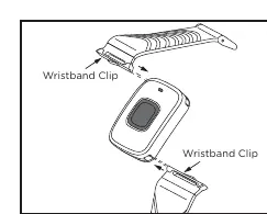 Montage des Armband-Clips