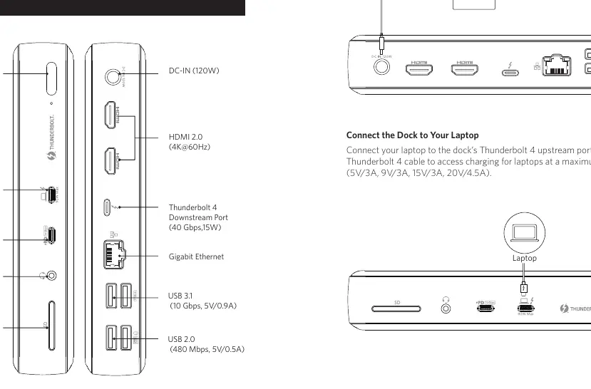 Anschlüsse des Thunderbolt 4 Docks