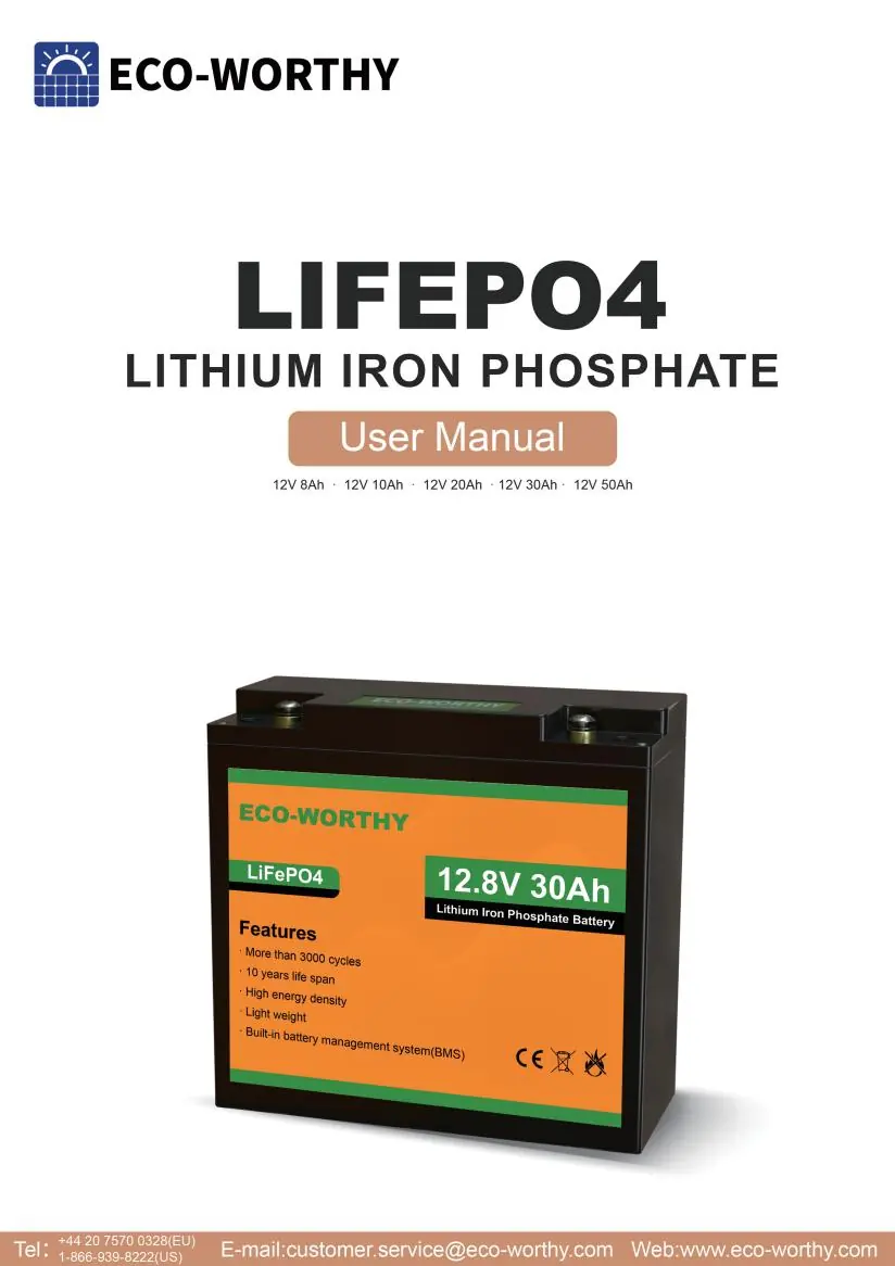 Eco Worthy LiFePO4 Batterie
