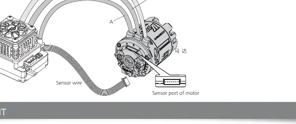 Verkabelungsschema für Motor und ESC