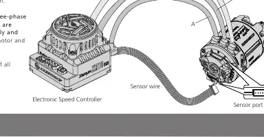 Verkabelungsschema: Anschluss von Motor an ESC und Sensorkabel
