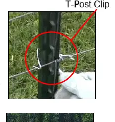 Befestigung des Drahtes mit T-Post Clips