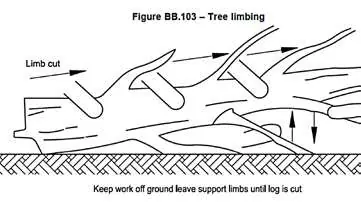 Entasten eines Baumes