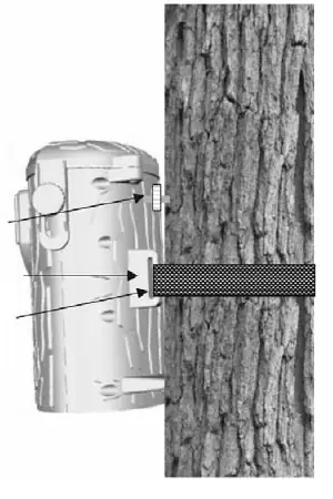 Montage der Kamera am Baum