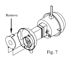 Reinigung der Pumpe
