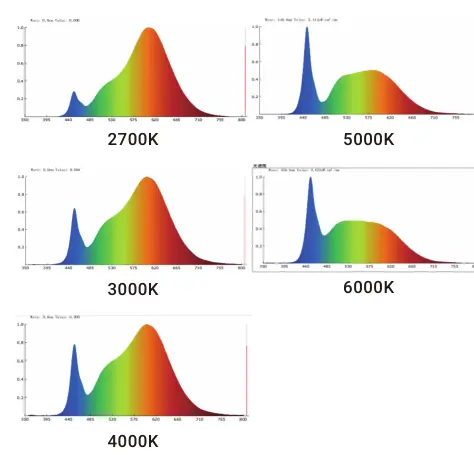 Illuminance Cone Diagram