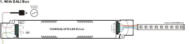 Verdrahtungsplan: DALI-Bus