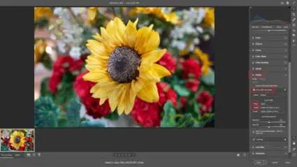 Anwendung des Korrekturprofils in Adobe Software