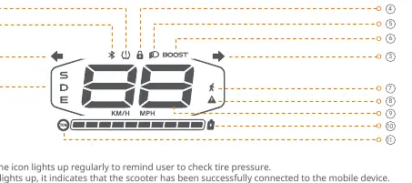 Dashboard-Anzeige