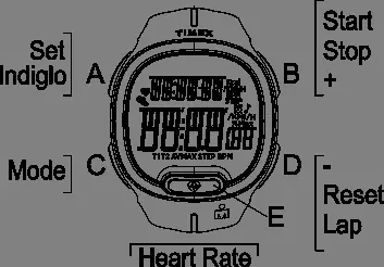 Tastenbelegung der Timex Ironman Transit+ Uhr
